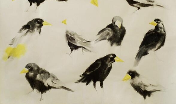 ϲ��ռ䡰����š�������������չ������