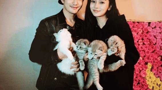 Angelababy�����ˣ��ƽ����ŵò�����ҹ��ȥ�����ĺ��·�ŭ����ѵ�⹤����Ա