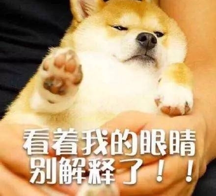 ����ָ�ϣ������Լ���ʱ��ѡ��һ�����ʵ�ӰƬ��