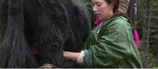 ��4�α���ȫ���һ��Ů�����澴ҵ��˵���ݼ���42�����˸�Ȣ