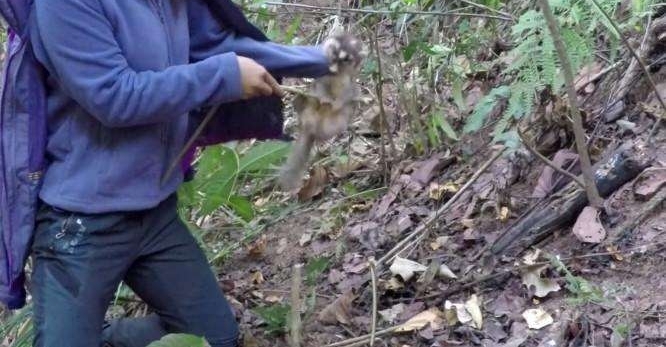 ũ����Ů������ץ����ֻ����, �������ֻ��ѡ�������