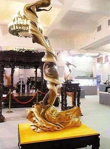 һҹ������һ�����У����ط��ĵ���Ѱ���ˣ�