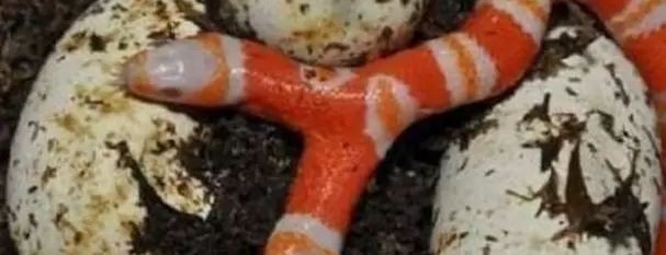 ũ���ּ��������൰�������ľ��������ٲ���Լ�����