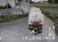 ������ǰ���10�룺������˲������� ����������