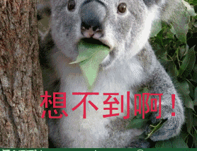 �˴��ҵ���������� �Ե��õĶ��Ǽ��