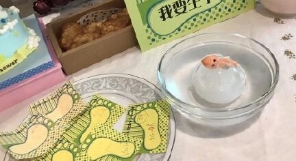 ����ͦ��ǰ��ɶ� С�����������ع�
