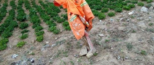 ��Ǩһ����ҹҹ��� ����β���շ��֡�С����