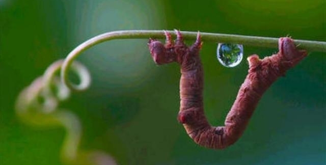 ũ����Щ���ӣ���������һ����