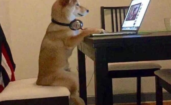 ����ڹ������ʲô���Ӱ������ų����Ĳ˻��Գƿ��������ģʽ��