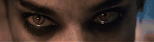 ��ϲ����ľ�������������ʮ����Ƭ���У�