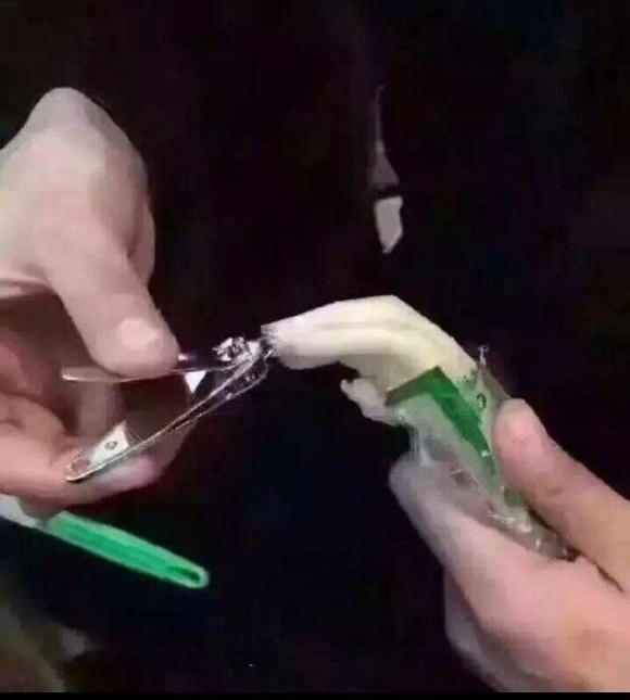 �Ի������⣬�뷨�����