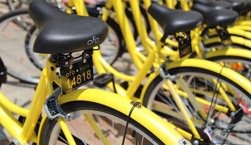 ���������ֱ������ɶ�һ8����ͯ͵�ﹲ������ˤ�ɸ�����