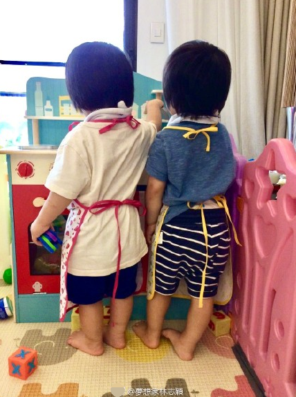 ��־ӱɹ˫��̥���ӱ�Ӱ�� ���������۵ĸ���