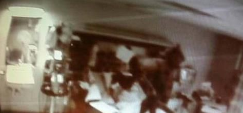 ղ˵ļĵˡţͷ桱 ̫˼