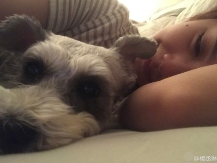 ��ة�շ��ĳ�����Ȭ�� ���ձ����������