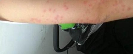 ��������һֻС���Ӿ�Ȼ��ʧʮ���� �����������˺���