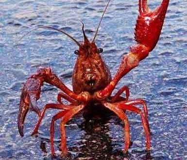 ��ԡ���С��������һ����֪���ҹ�С��Ϻ�������������͵�8��