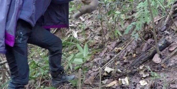 ũ����Ů������ץ����ֻ����, �������ֻ��ѡ�������