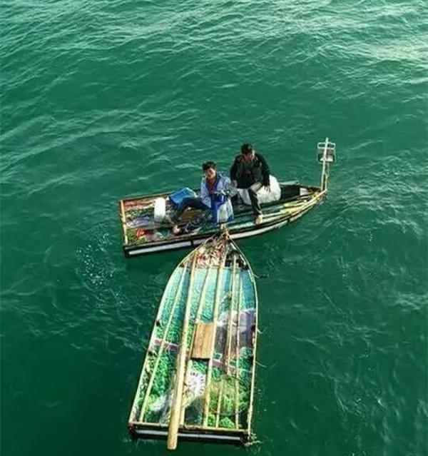 �����ӳ������㱻���� û��û�Ⱥ���Ư30��Сʱ