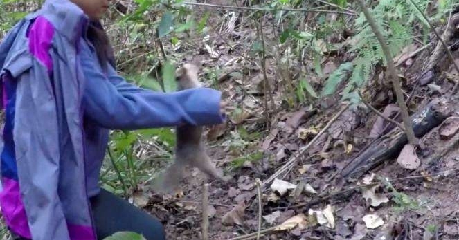 ũ����Ů������ץ����ֻ����, �������ֻ��ѡ�������