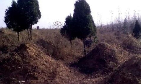 ��㤣��賿�س���ͣ��������������������ȴһ������