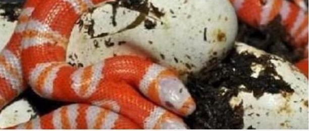 ũ���ּ��������൰�������ľ��������ٲ���Լ�����