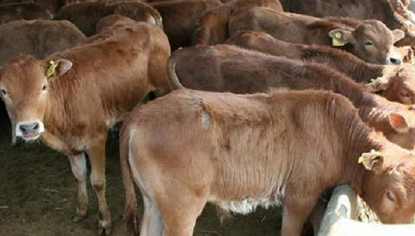 ũ����ֳ��ҵ�����¶��򣬹����ص���ֵ���4����ֳҵ���ʳ�¯��