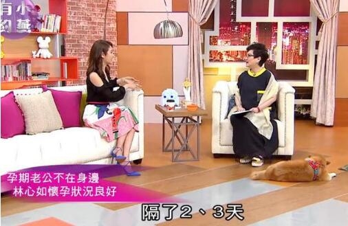 ������̹���Լ��Ļ��״̬�����Ѿ�����ζ�