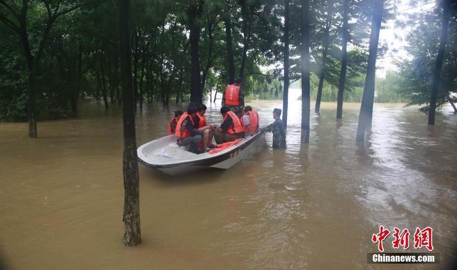 ��ͼ���㽭��������ǿ���� ��سɡ������