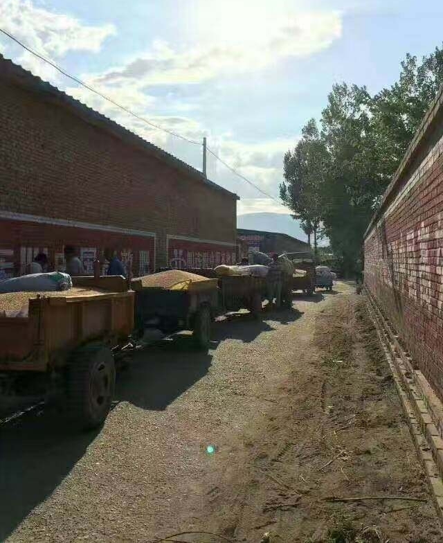 С���ո���ֱ���� �������˼����ֳ���Ƭ��