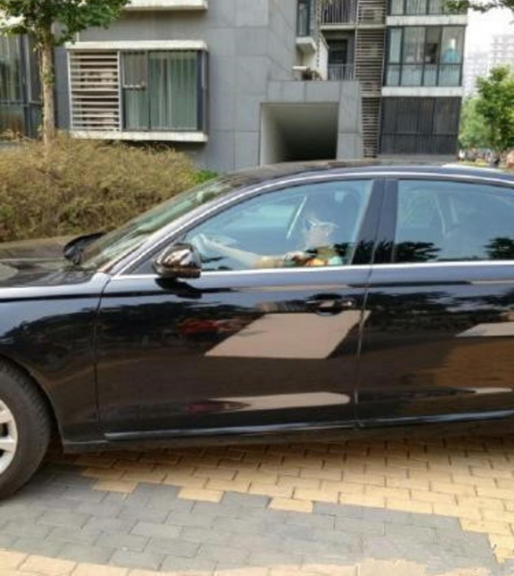 19�����ͮ�����������ѧ  �ϰ�˵�Լ����� ������Ұ�ĸ���