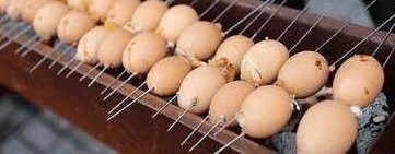 ���ӽֱ�����������10��Ǯ2�����ӵ��ϵķ������˾��ȣ�Χ�����˹ۿ���