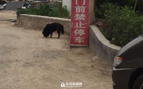 ��������ҧ��·�˱����� �̵������Ȯ�涨