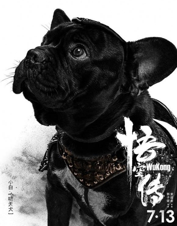 ����մ����ֳ���亣����ÿ��̨�ʣ�����һ��������һ�����䣡