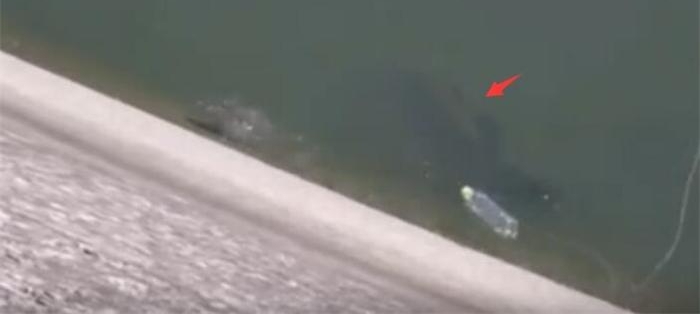 ������ô���Ĵ���Ҳ������, ���ϰ����������ȹ����