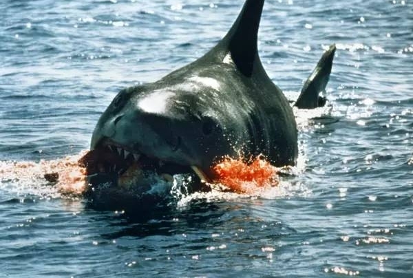 ��ս��Ƭ�ĳ������ĵ��ݣ���������