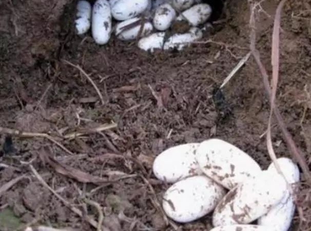 ũ���ּ��������൰�������ľ��������ٲ���Լ�����