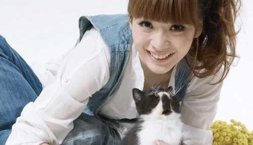 ��רҵ������25�����������˵�����ǿ���������ҵ���ߵ�������