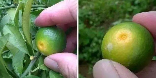 ������Ѯ�����Դ������, ��β��ȱ����