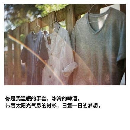 뿴㿴磬εĻ
