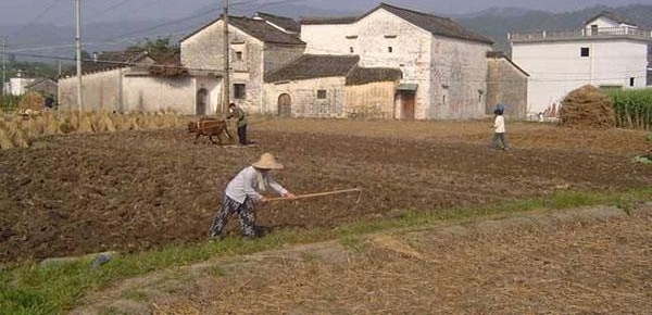 ȥ���ж��ӵ�ũ���ˣ����ļ��±��Ÿɣ�����������ũ��ĸ���