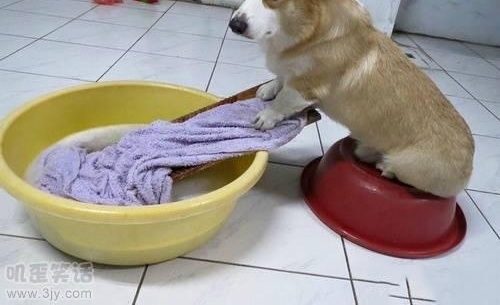 Ů��˯�����ֻ����յ��к�����һ����Ϣ