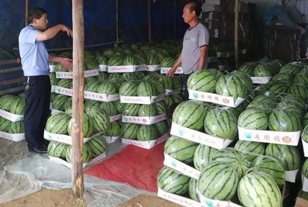 ��ũ1.5����������������ڹ���Ⱥߺ����Сʱ����