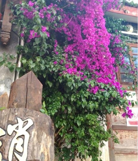 �������Ѽ��컨������֦ ��֪��������������־