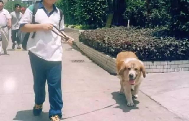 �ᱼ������������11���꣬�����ӿ����������Զ�ġ����С���