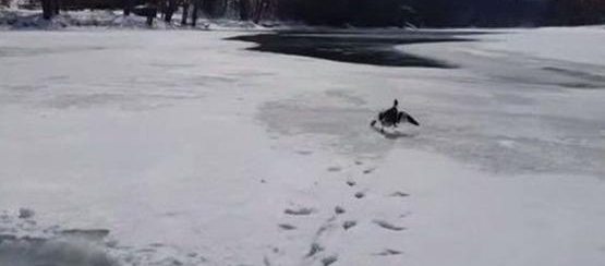 �����ڱ���ʱ��������һ�����첻���˲����һ����