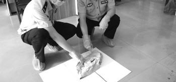 �����н��͡��Ŵ�ɽ�����η���ͶԲ�����������