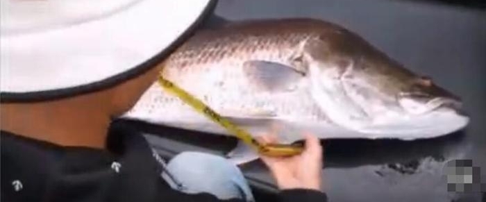 ������ô���Ĵ���Ҳ������, ���ϰ����������ȹ����