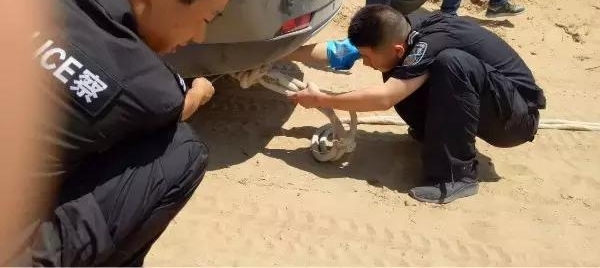 ��������οͱ�����������ɳĮ����ʿԽҰ��������Ԯ����л�Ÿ��ˣ�