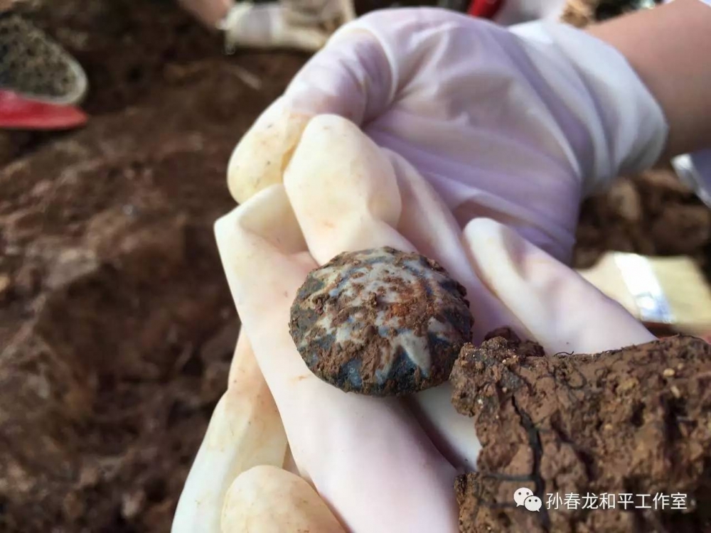���ٹ�·ͣ��������ѰӪ��Ĺ�� �ҵ�����Ҷ�������